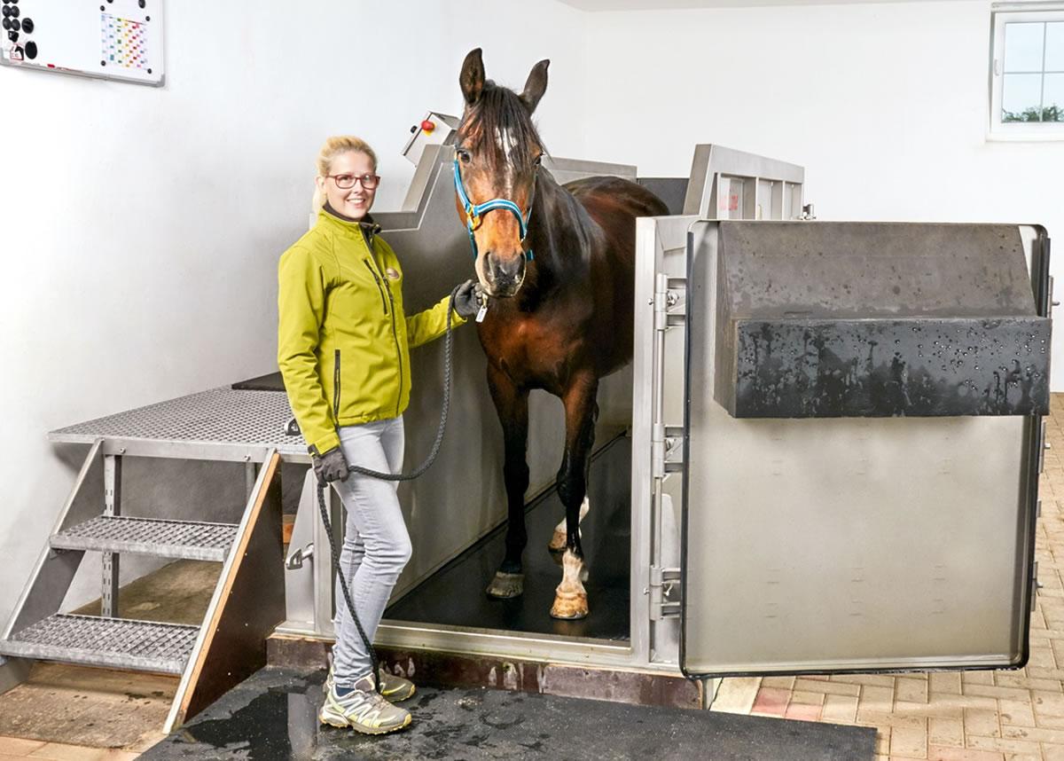 Waldgut Höhnscheid - Ihre Pferde Pension im Raum Kassel, Paderborn, Eisenach, Marburg, Winterberg, Göttingen und Hessen mit eigenem Aquatrainer/Pferd und der damit verbundenen Pferde-Reha zur Erholung und Reha Ihres Pferdes - denn: Wir lieben Pferde! - Waldgut Höhnscheid - Pferde Pension für die Pferde-Reha mit Aquatrainer Pferd im Raum Kassel, Paderborn, Eisenach, Marburg, Winterberg, Göttingen und Hessen.