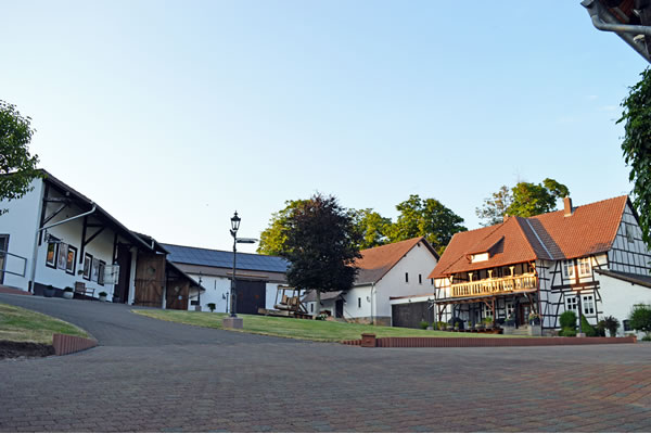 Waldgut Höhnscheid - Ihre Pferde Pension im Raum Kassel, Paderborn, Eisenach, Marburg, Winterberg, Göttingen und Hessen mit eigenem Aquatrainer/Pferd und der damit verbundenen Pferde-Reha zur Erholung und Reha Ihres Pferdes - denn: Wir lieben Pferde! - Waldgut Höhnscheid - Pferde Pension für die Pferde-Reha mit Aquatrainer Pferd im Raum Kassel, Paderborn, Eisenach, Marburg, Winterberg, Göttingen und Hessen.