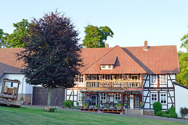 Waldgut Höhnscheid - Ihre Pferde Pension im Raum Kassel, Paderborn, Eisenach, Marburg, Winterberg, Göttingen und Hessen mit eigenem Aquatrainer/Pferd und der damit verbundenen Pferde-Reha zur Erholung und Reha Ihres Pferdes - denn: Wir lieben Pferde! - Waldgut Höhnscheid - Pferde Pension für die Pferde-Reha mit Aquatrainer Pferd im Raum Kassel, Paderborn, Eisenach, Marburg, Winterberg, Göttingen und Hessen.