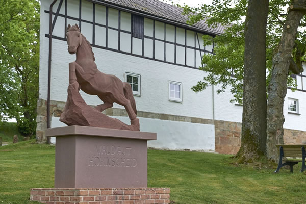 Waldgut Höhnscheid - Ihre Pferde Pension im Raum Kassel, Paderborn, Eisenach, Marburg, Winterberg, Göttingen und Hessen mit eigenem Aquatrainer/Pferd und der damit verbundenen Pferde-Reha zur Erholung und Reha Ihres Pferdes - denn: Wir lieben Pferde! - Waldgut Höhnscheid - Pferde Pension für die Pferde-Reha mit Aquatrainer Pferd im Raum Kassel, Paderborn, Eisenach, Marburg, Winterberg, Göttingen und Hessen.