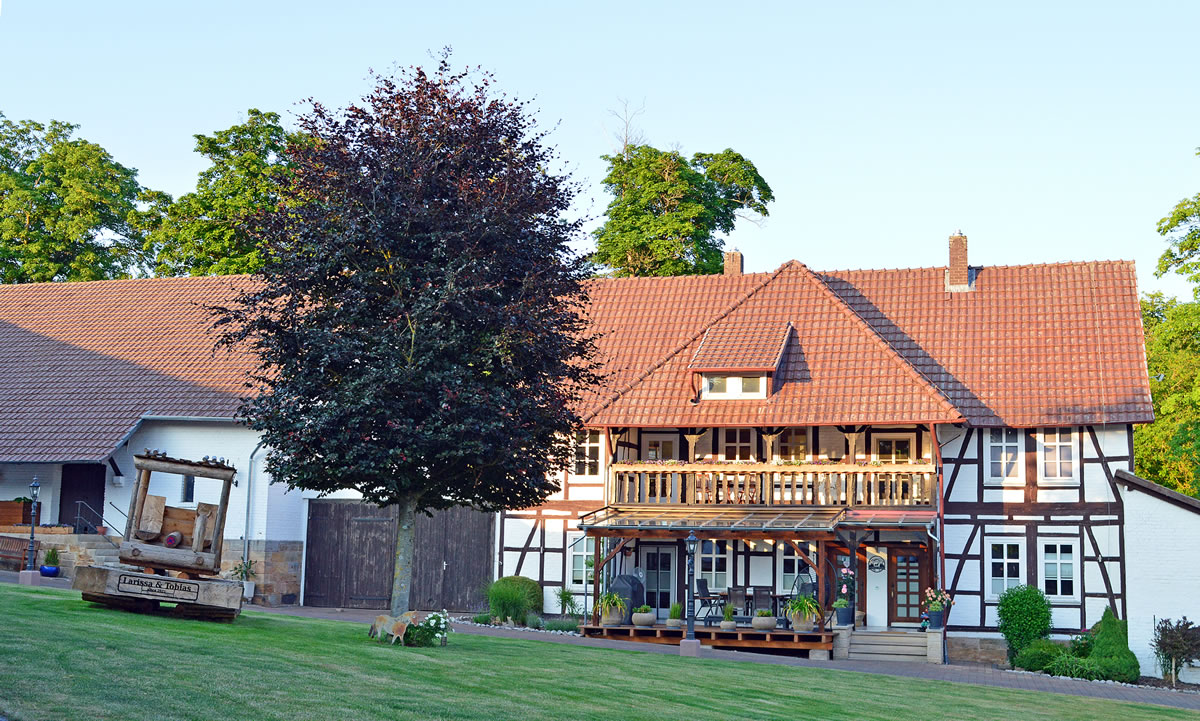 Waldgut Höhnscheid - Ihre Pferde Pension im Raum Kassel, Paderborn, Eisenach, Marburg, Winterberg, Göttingen und Hessen mit eigenem Aquatrainer/Pferd und der damit verbundenen Pferde-Reha zur Erholung und Reha Ihres Pferdes - denn: Wir lieben Pferde! - Waldgut Höhnscheid - Pferde Pension für die Pferde-Reha mit Aquatrainer Pferd im Raum Kassel, Paderborn, Eisenach, Marburg, Winterberg, Göttingen und Hessen.