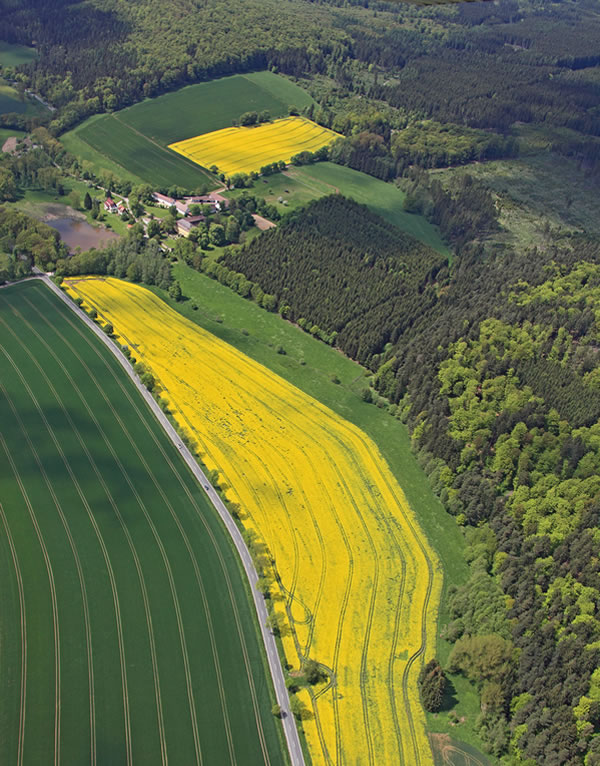 Waldgut Höhnscheid - Ihre Pferde Pension im Raum Kassel, Paderborn, Eisenach, Marburg, Winterberg, Göttingen und Hessen mit eigenem Aquatrainer/Pferd und der damit verbundenen Pferde-Reha zur Erholung und Reha Ihres Pferdes - denn: Wir lieben Pferde! - Waldgut Höhnscheid - Pferde Pension für die Pferde-Reha mit Aquatrainer Pferd im Raum Kassel, Paderborn, Eisenach, Marburg, Winterberg, Göttingen und Hessen.